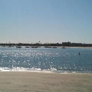 Meet your Posher, Ronnae